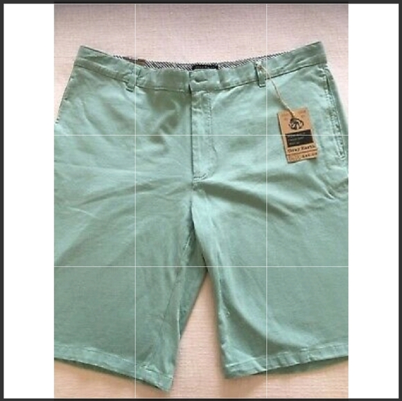 Other - Gray earth teal shorts